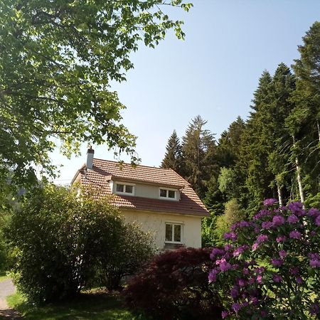 Vosges House 110 M2 In The Heart Of Nature L'Oree Du Bois Saint-Michel-sur-Meurthe Dış mekan fotoğraf
