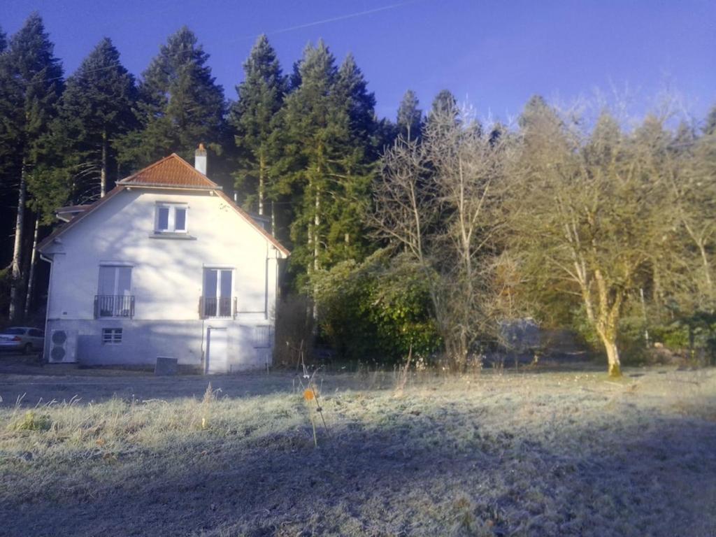 Vosges House 110 M2 In The Heart Of Nature L'Oree Du Bois Saint-Michel-sur-Meurthe Dış mekan fotoğraf
