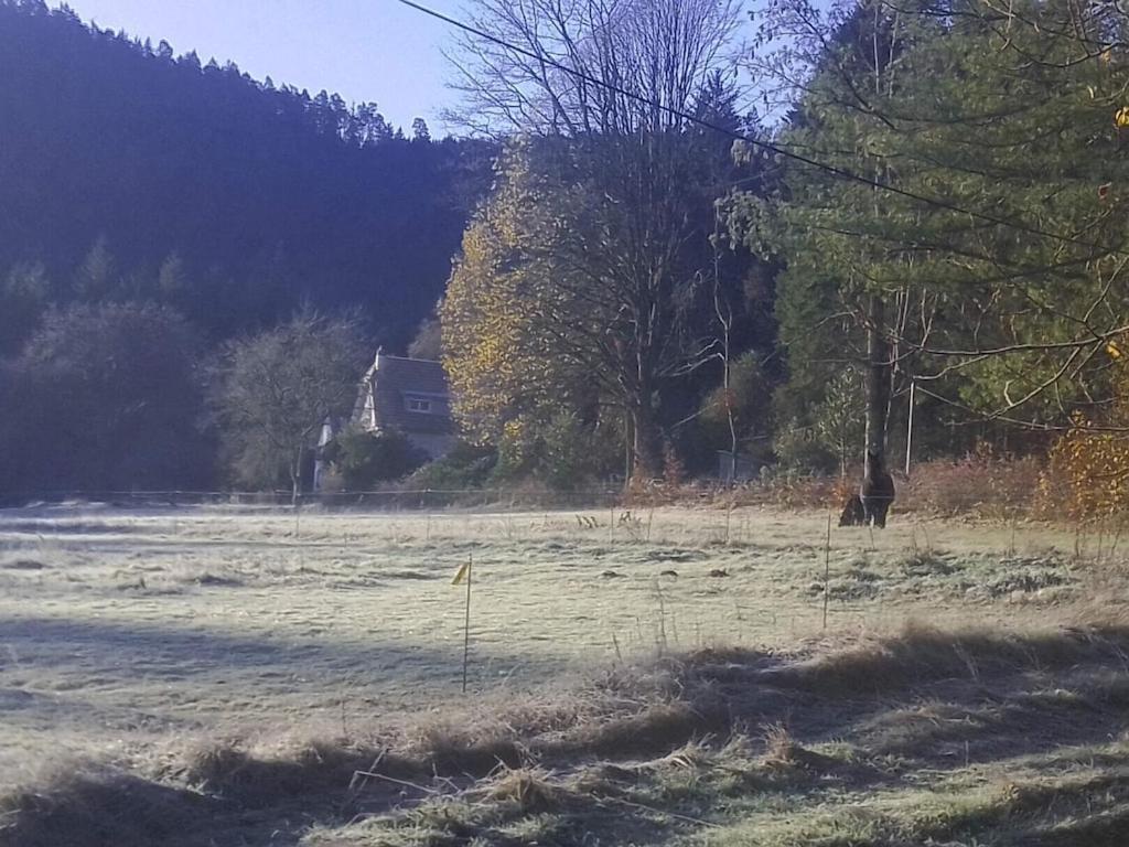 Vosges House 110 M2 In The Heart Of Nature L'Oree Du Bois Saint-Michel-sur-Meurthe Dış mekan fotoğraf
