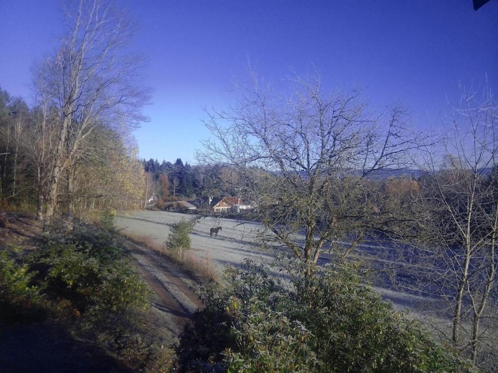 Vosges House 110 M2 In The Heart Of Nature L'Oree Du Bois Saint-Michel-sur-Meurthe Dış mekan fotoğraf