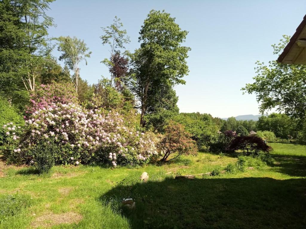 Vosges House 110 M2 In The Heart Of Nature L'Oree Du Bois Saint-Michel-sur-Meurthe Dış mekan fotoğraf